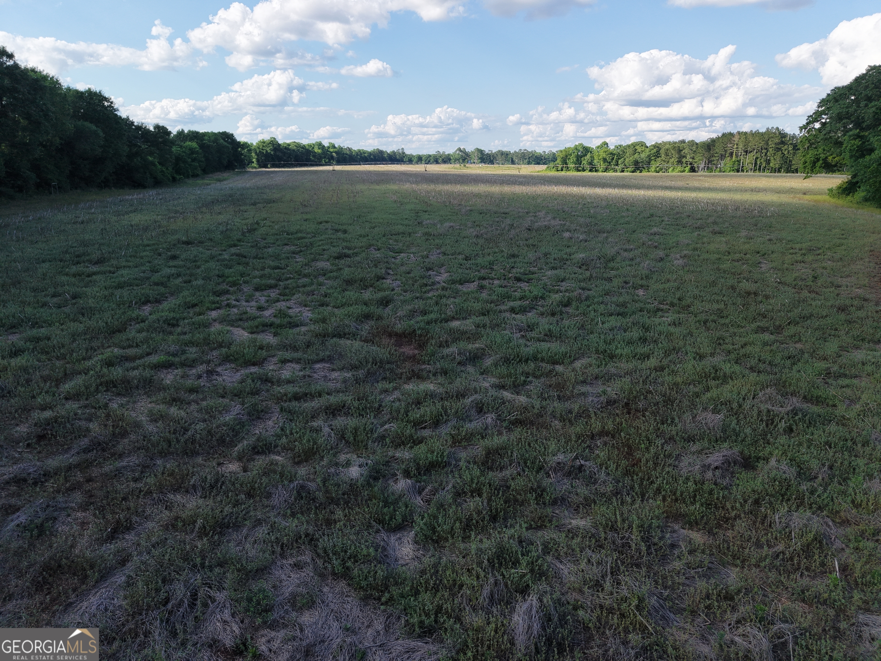 0 West Bluffton Road Bluffton, GA 39824 - Photo 18 of 18