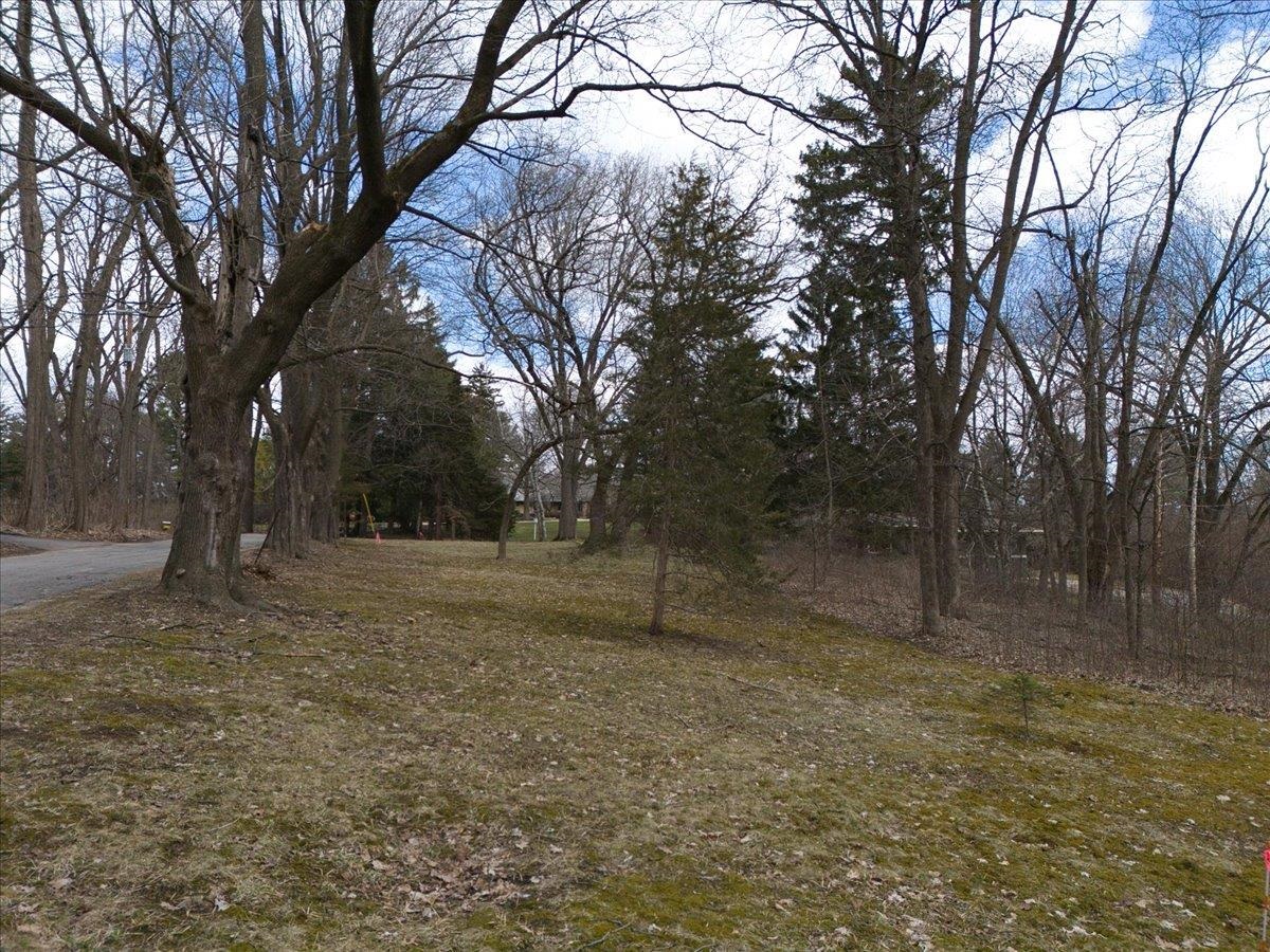 1003 Hillside Avenue Madison, WI 53705 - Photo 4 of 13