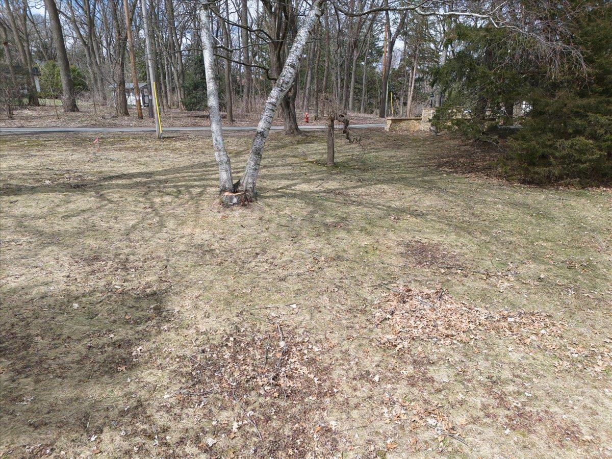 1003 Hillside Avenue Madison, WI 53705 - Photo 7 of 13
