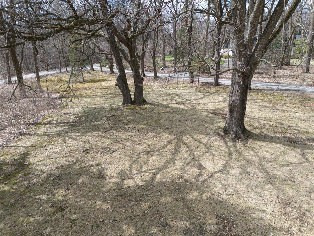 1003 Hillside Avenue Madison, WI 53705 - Photo 8 of 13