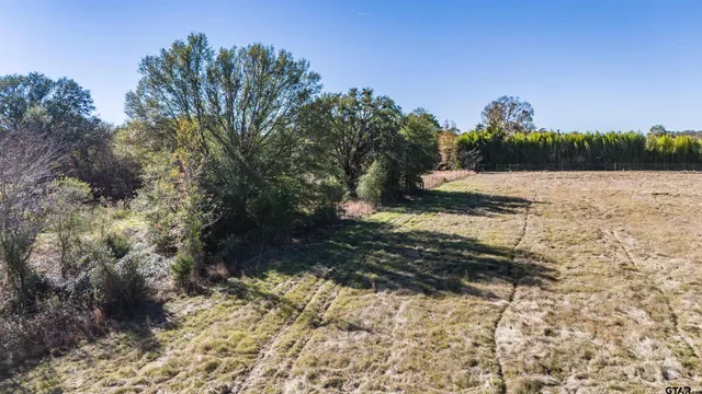 a view of a yard with trees in the background