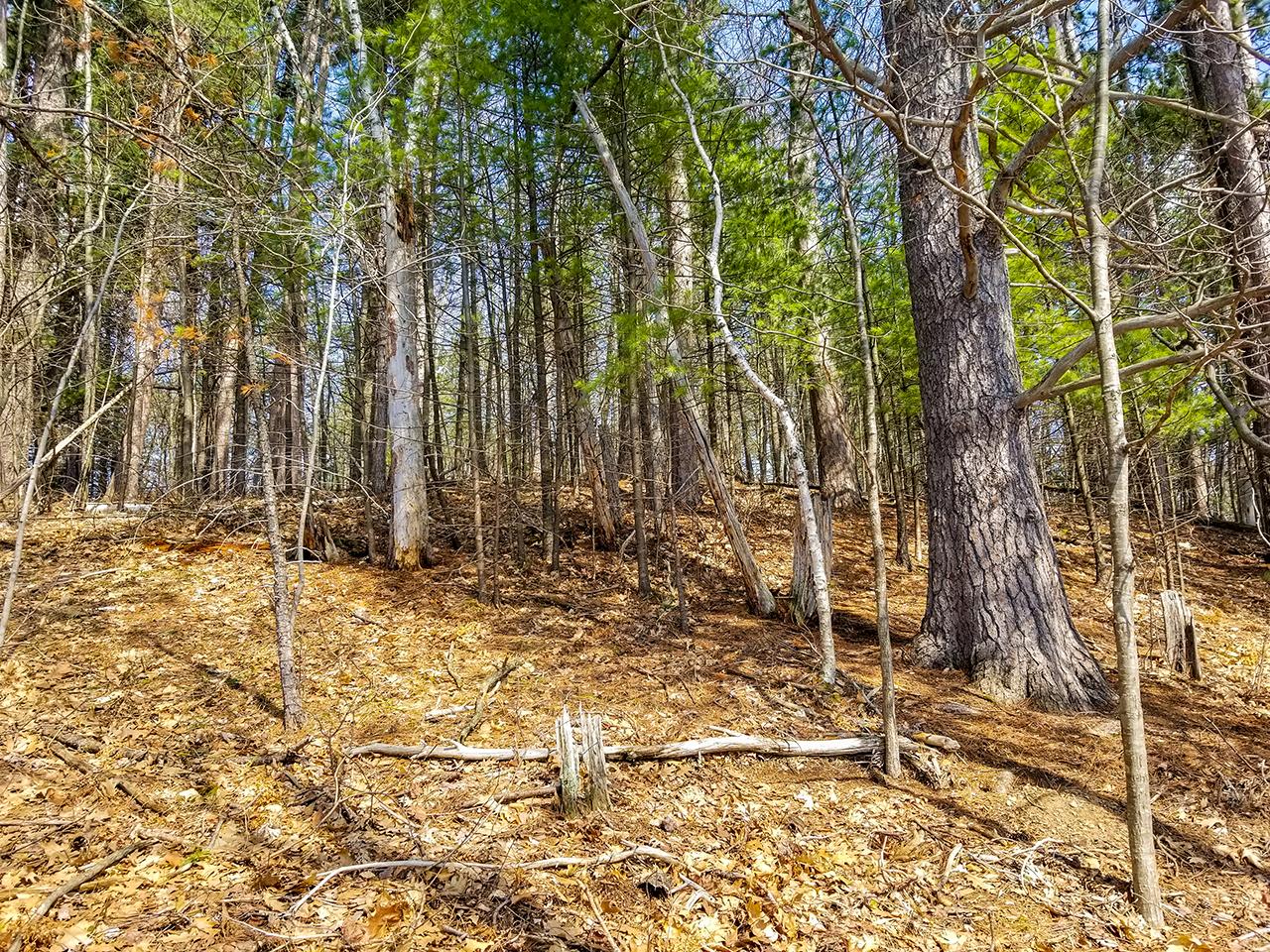 Lot Norlander Norlander Road Tomahawk, WI 54487 - Photo 16 of 17 Gallery Image 16