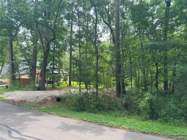 a view of a park that has large trees