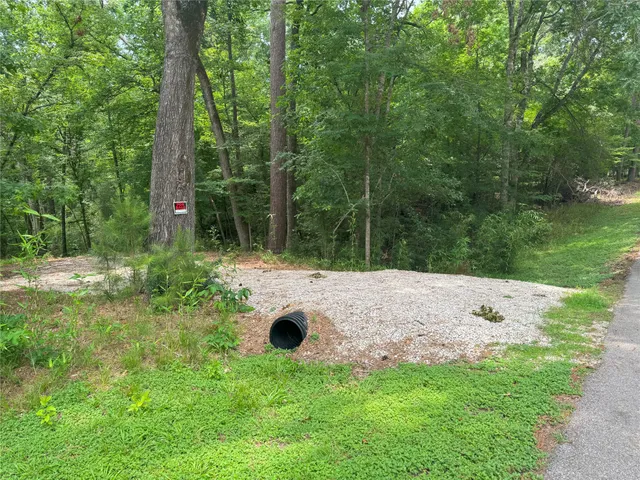 a view of a backyard with tree s