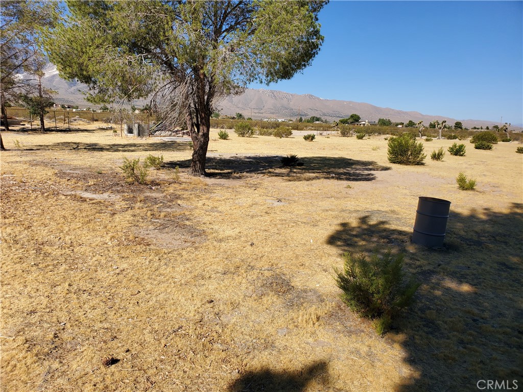 9870 Cody Road Lucerne Valley, CA 92356 - Photo 12 of 37