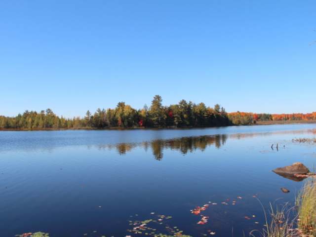 5049 Black Lake Road Mercer, WI 54547 - Photo 15 of 17 Gallery Image 15