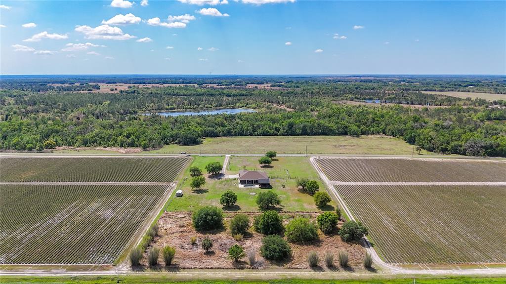 2350 Virgil Hall Road Lithia, FL 33547 - Photo 51 of 52