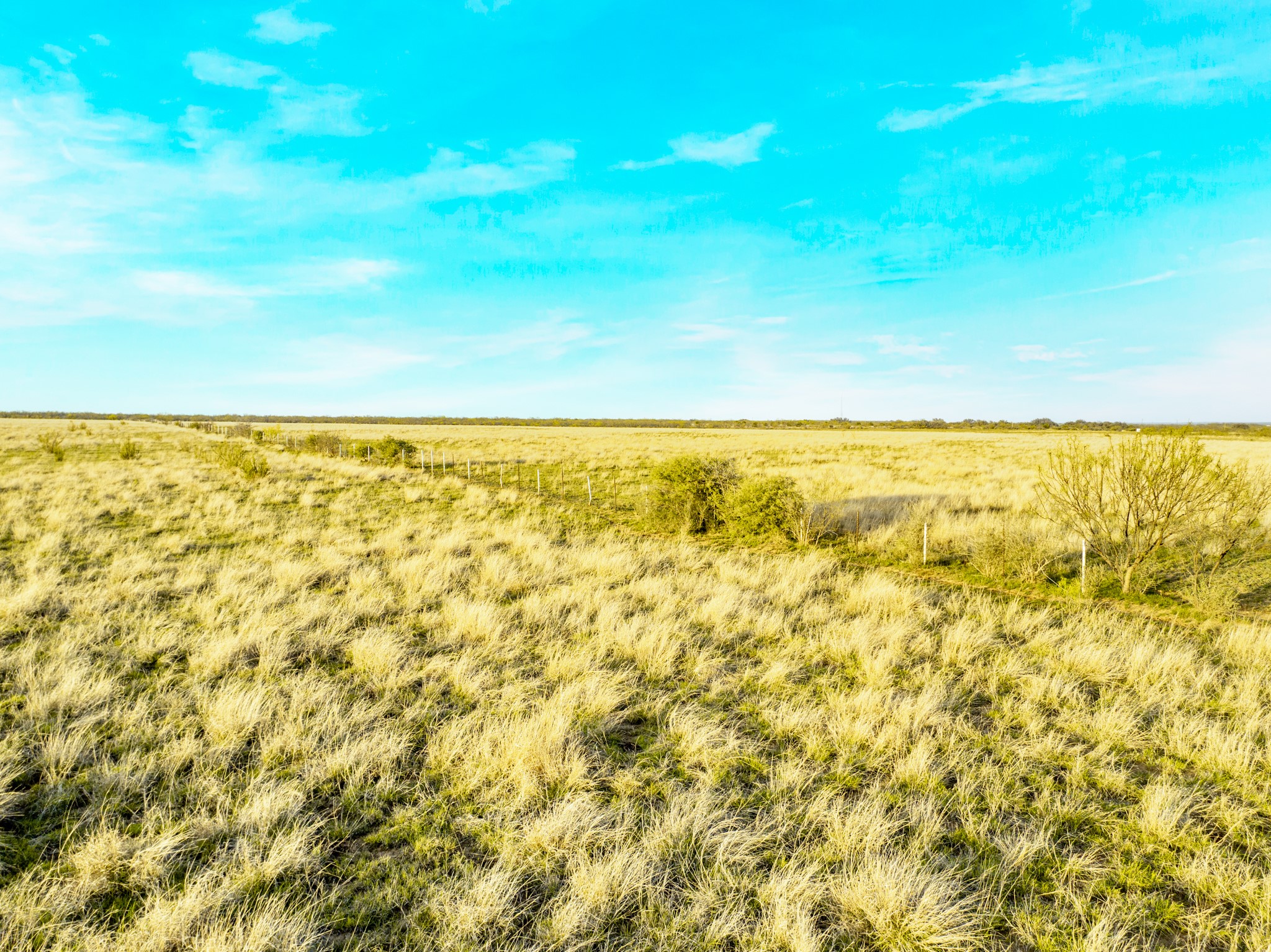 2145 County Road 320 Lohn, TX 76852 - Photo 25 of 40 View of local wilderness with rural landscape