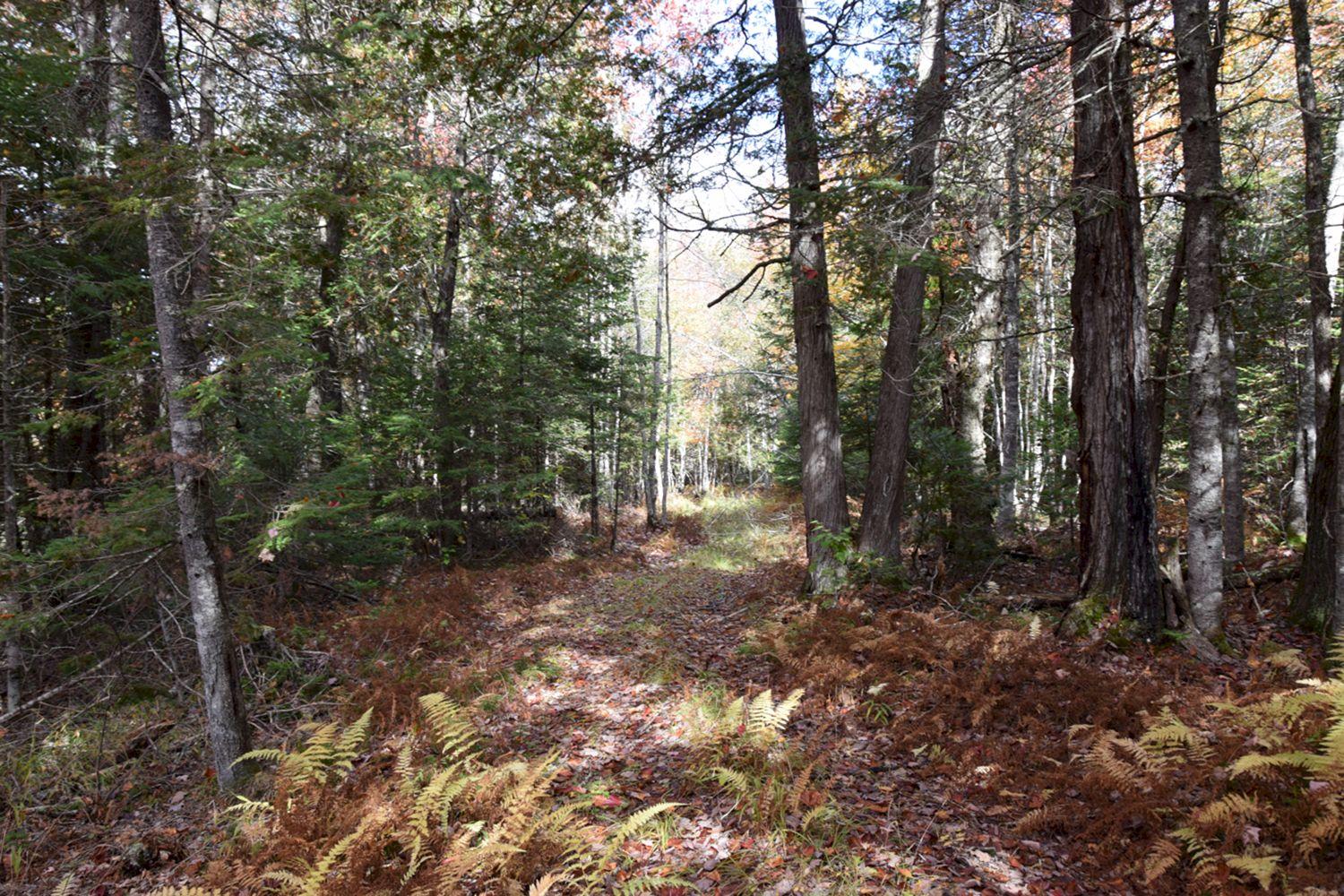 8a Halls Bridge Road Canaan, ME 04924 - Photo 24 of 44 DSC_0004 a