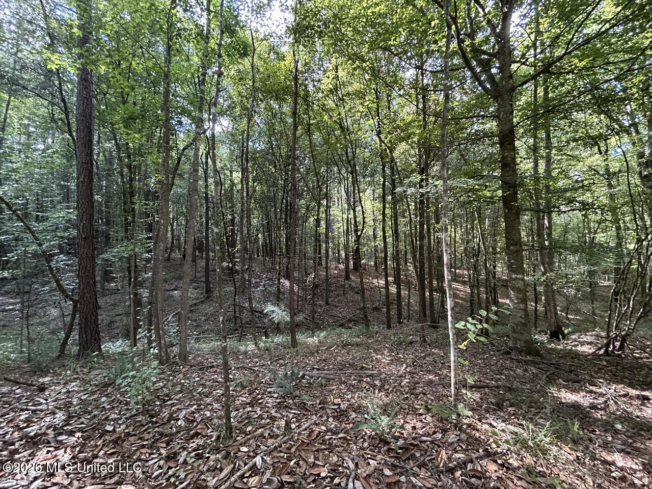 1669 Burt Jordan Road McCall Creek, MS 39647 - Photo 23 of 40 IMG_5791 Large