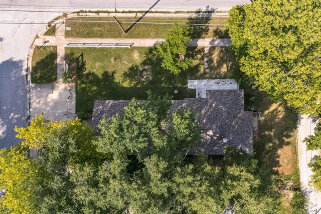 a picture of flowers