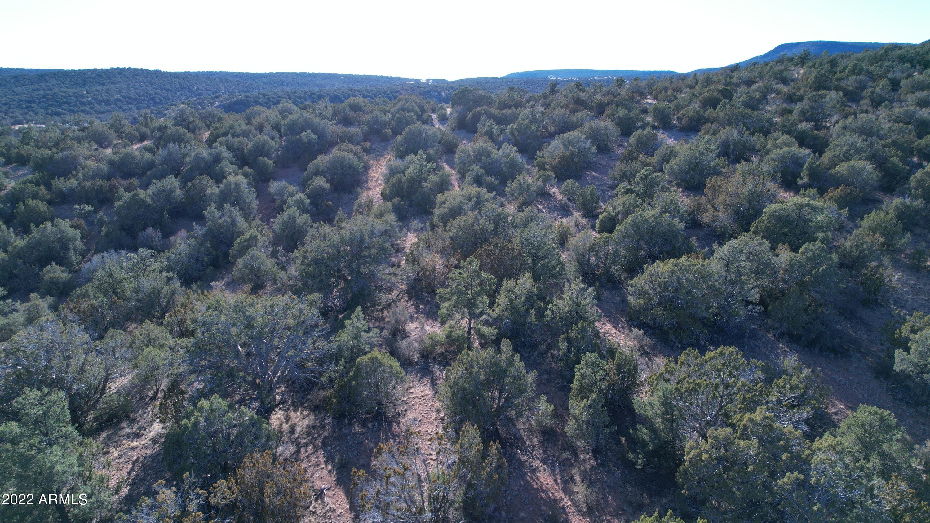 51784 Corofro Road, Unit 3386 Seligman, AZ 86337 - Photo 1 of 20 DJI_0176