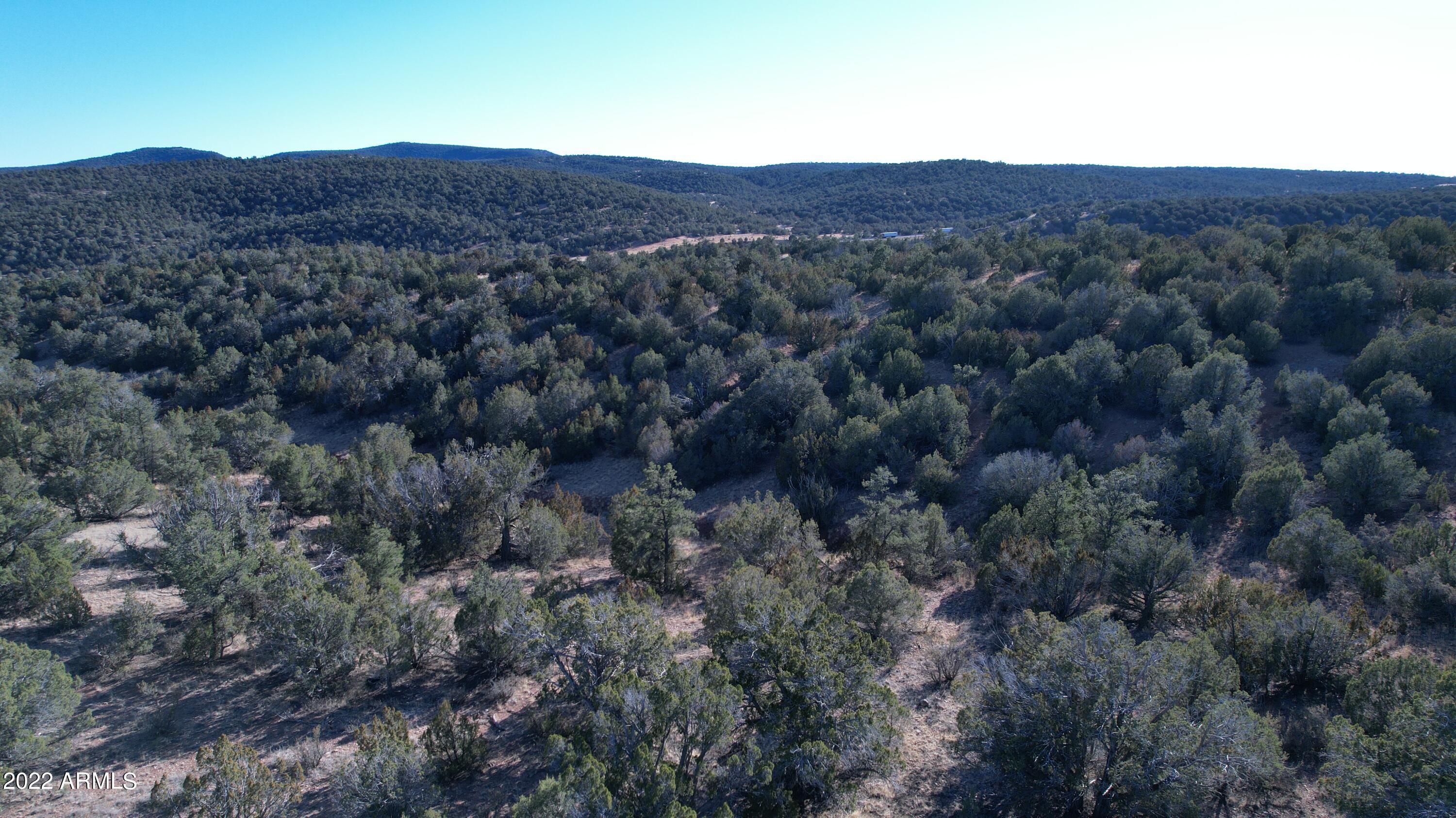 51784 Corofro Road, Unit 3386 Seligman, AZ 86337 - Photo 11 of 20 DJI_0180