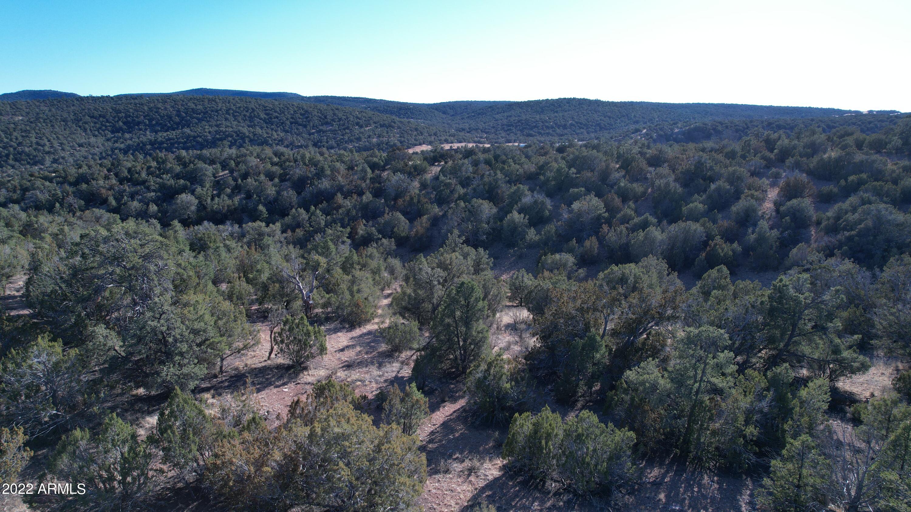 51784 Corofro Road, Unit 3386 Seligman, AZ 86337 - Photo 13 of 20 DJI_0182