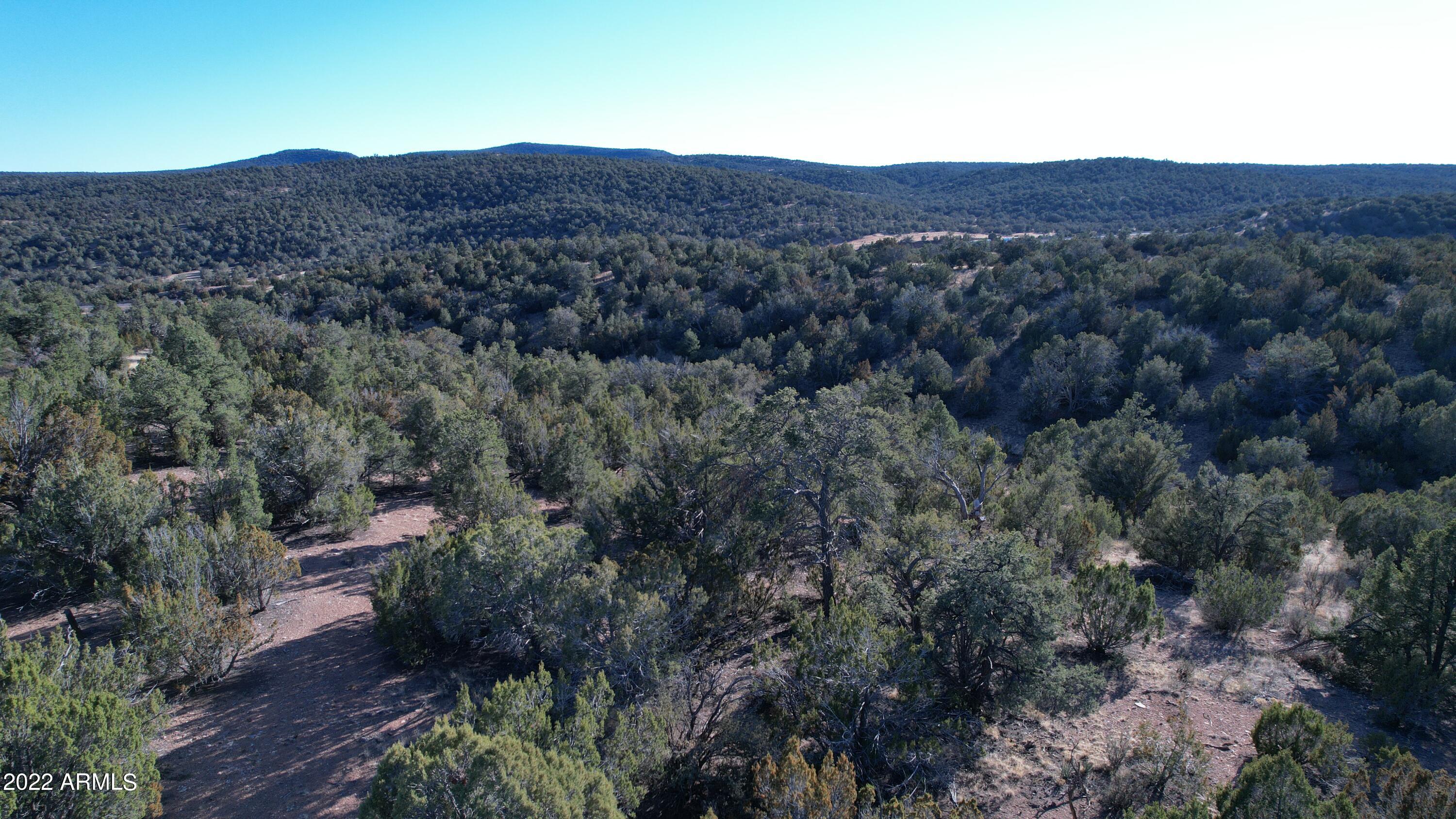51784 Corofro Road, Unit 3386 Seligman, AZ 86337 - Photo 14 of 20 DJI_0183