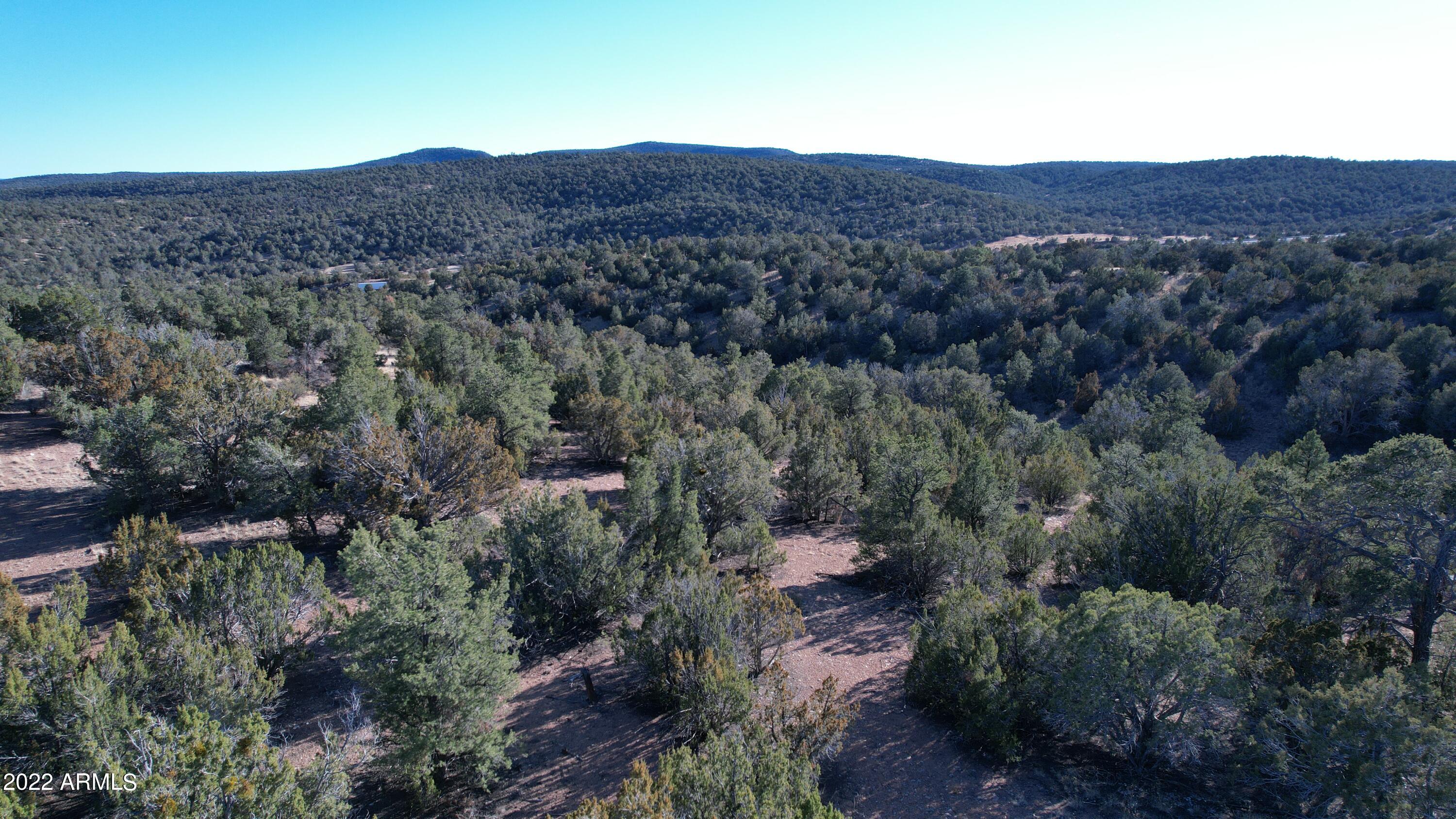 51784 Corofro Road, Unit 3386 Seligman, AZ 86337 - Photo 15 of 20 DJI_0184