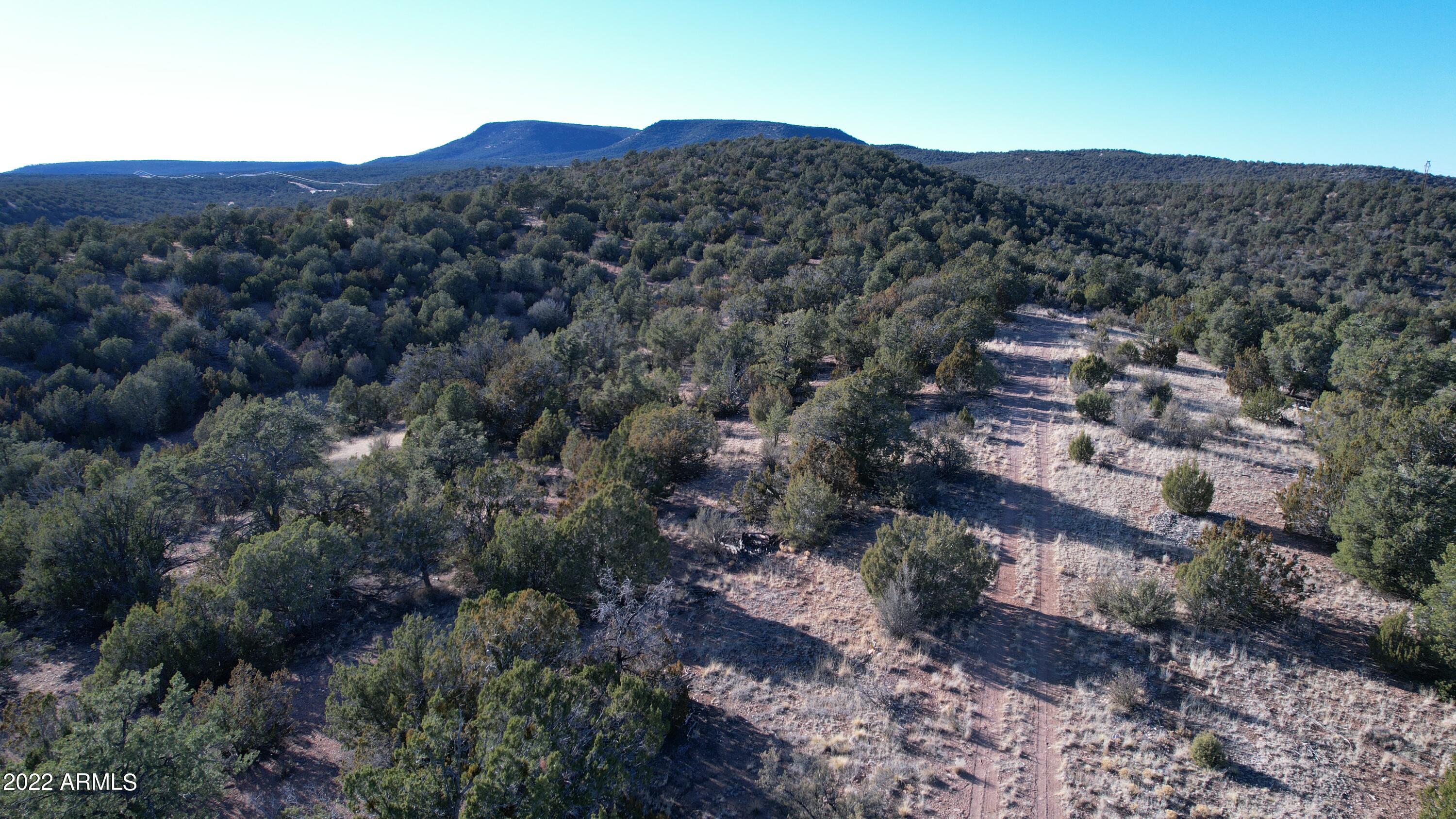 51784 Corofro Road, Unit 3386 Seligman, AZ 86337 - Photo 17 of 20 DJI_0186