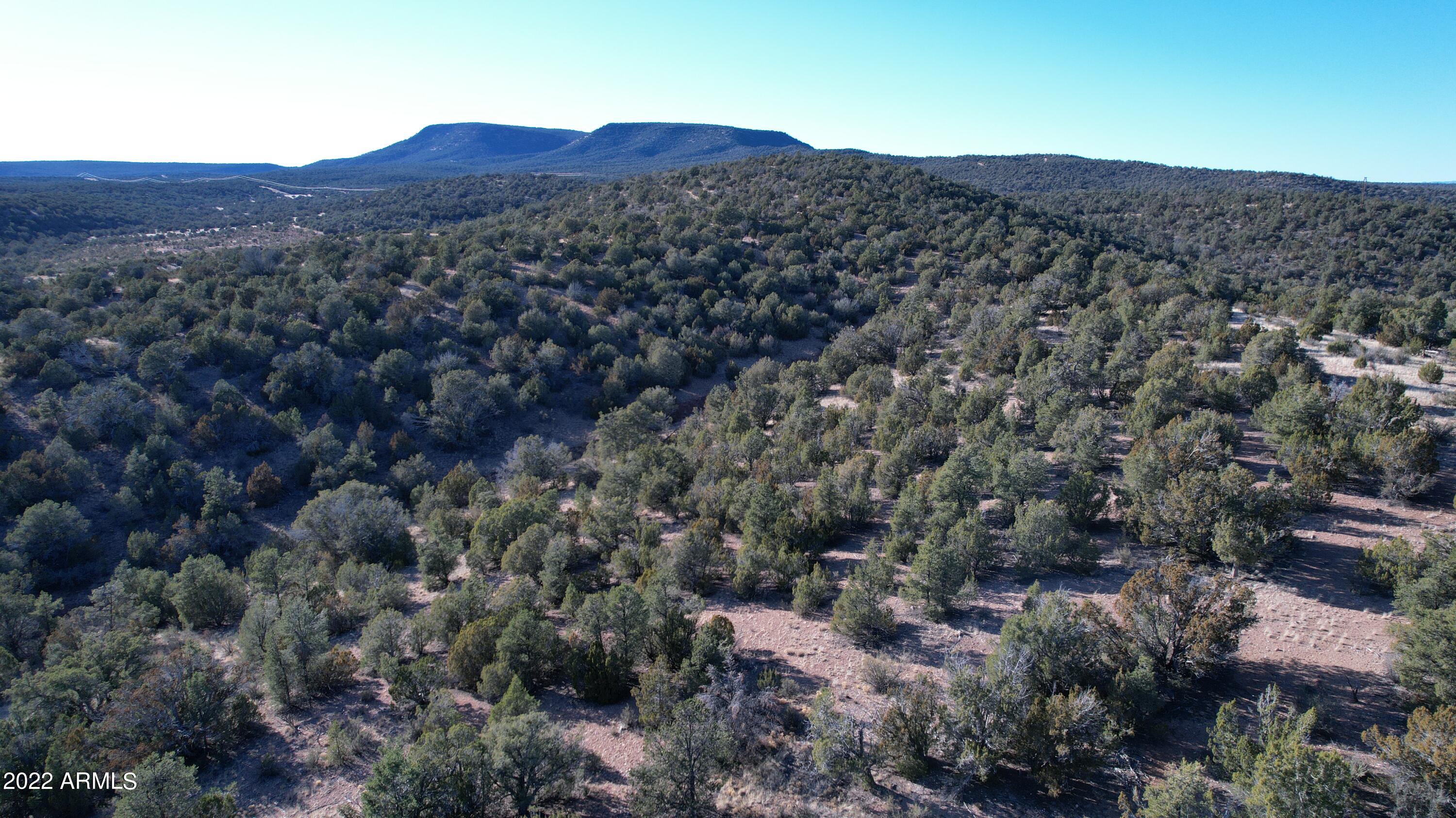 51784 Corofro Road, Unit 3386 Seligman, AZ 86337 - Photo 18 of 20 DJI_0187
