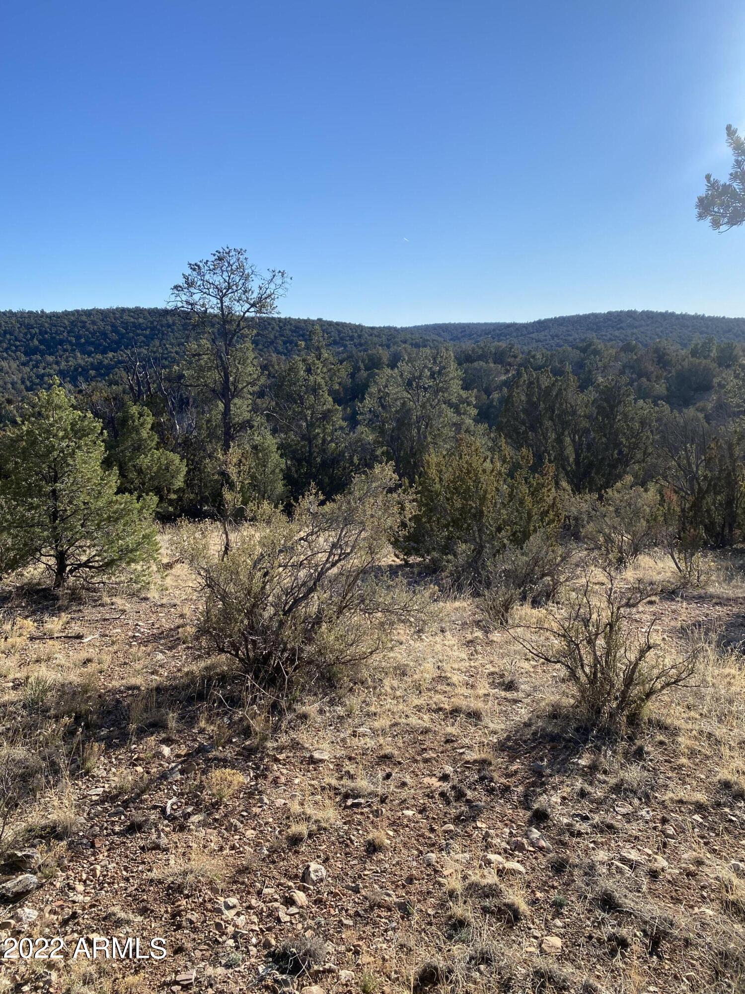 51784 Corofro Road, Unit 3386 Seligman, AZ 86337 - Photo 3 of 20 IMG-6375