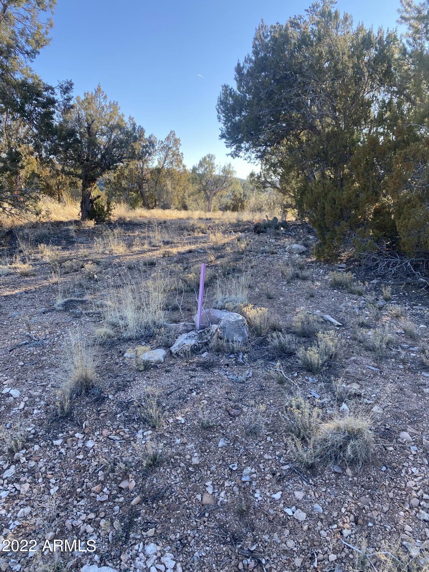 51784 Corofro Road, Unit 3386 Seligman, AZ 86337 - Photo 5 of 20 IMG-6371