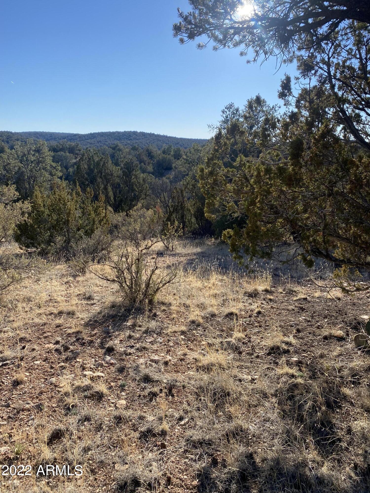 51784 Corofro Road, Unit 3386 Seligman, AZ 86337 - Photo 7 of 20 IMG-6376