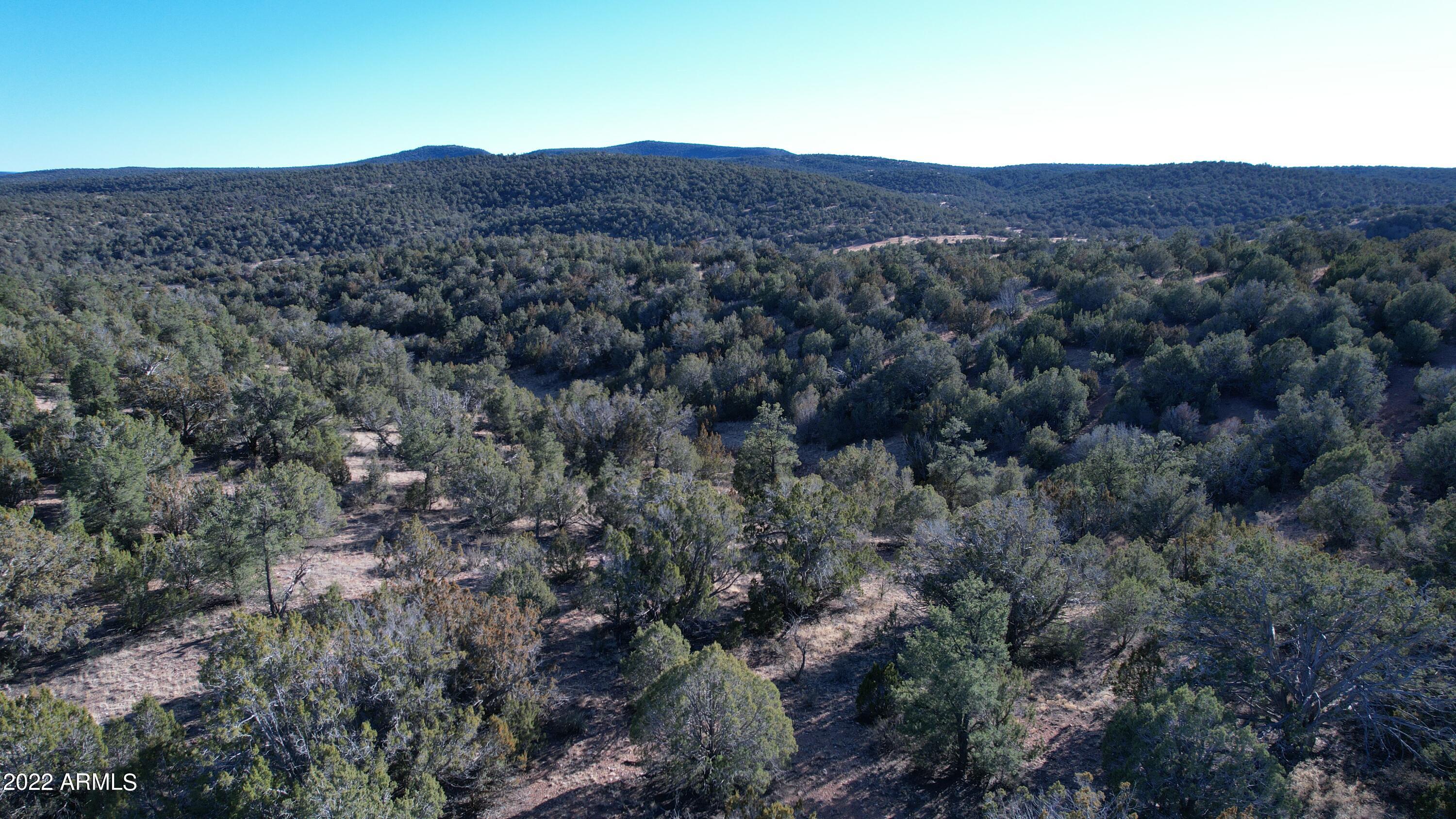 51784 Corofro Road, Unit 3386 Seligman, AZ 86337 - Photo 8 of 20 DJI_0177