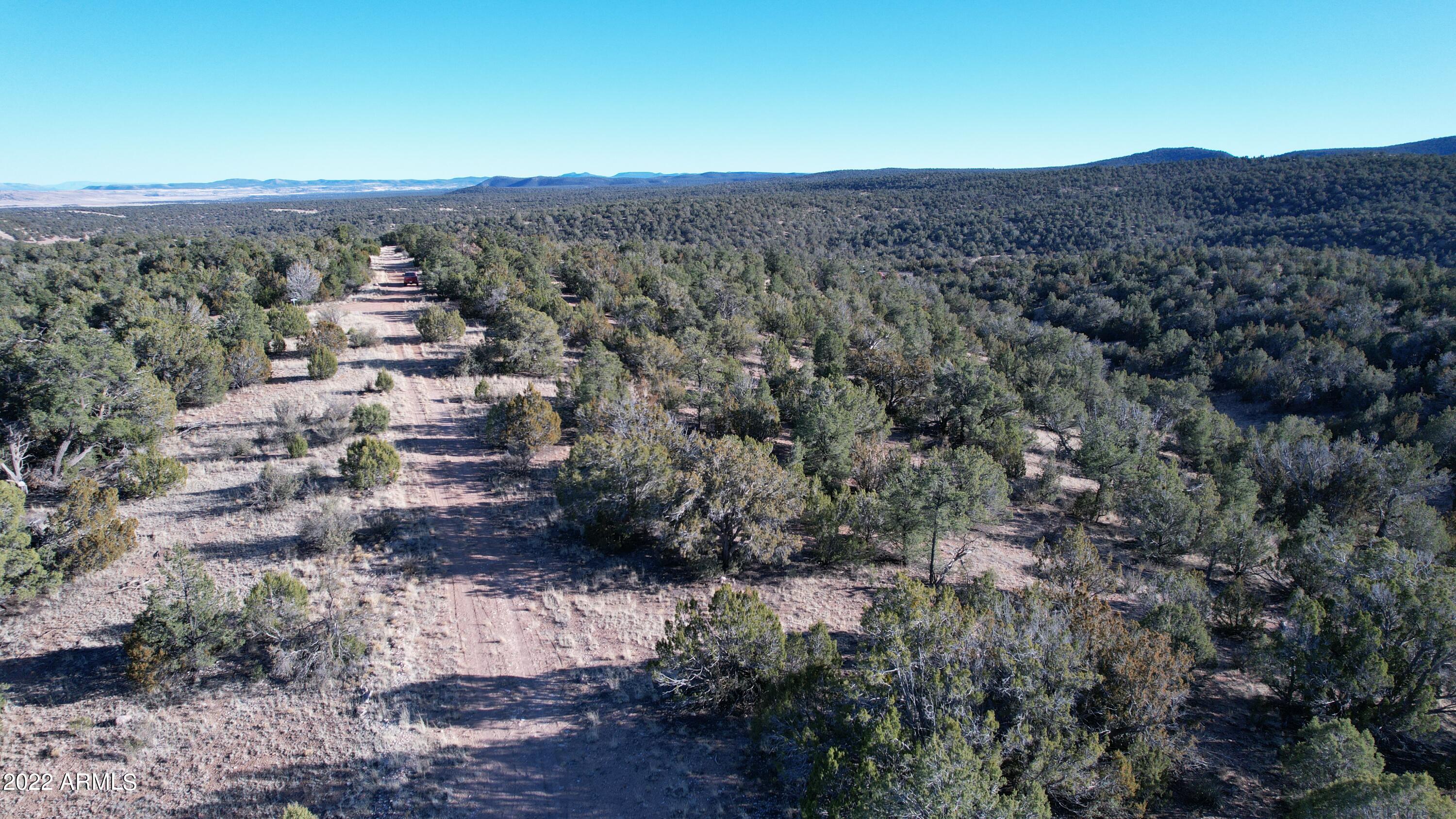 51784 Corofro Road, Unit 3386 Seligman, AZ 86337 - Photo 9 of 20 DJI_0178