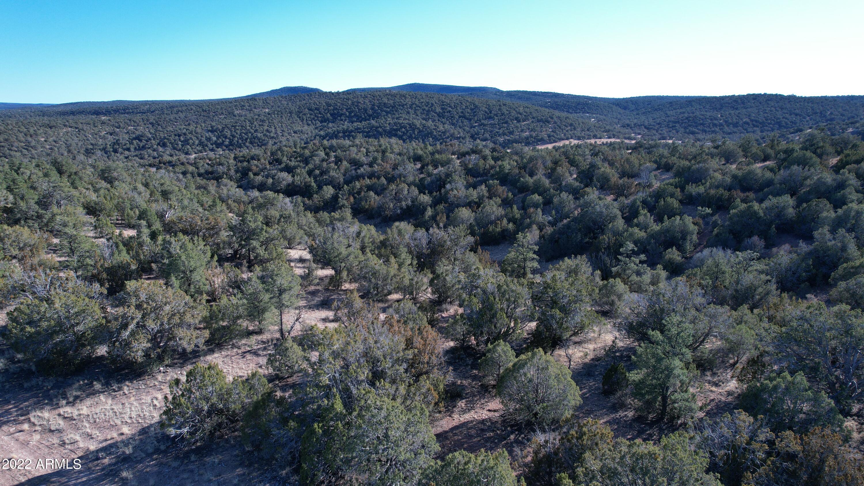 51784 Corofro Road, Unit 3386 Seligman, AZ 86337 - Photo 10 of 20 DJI_0179