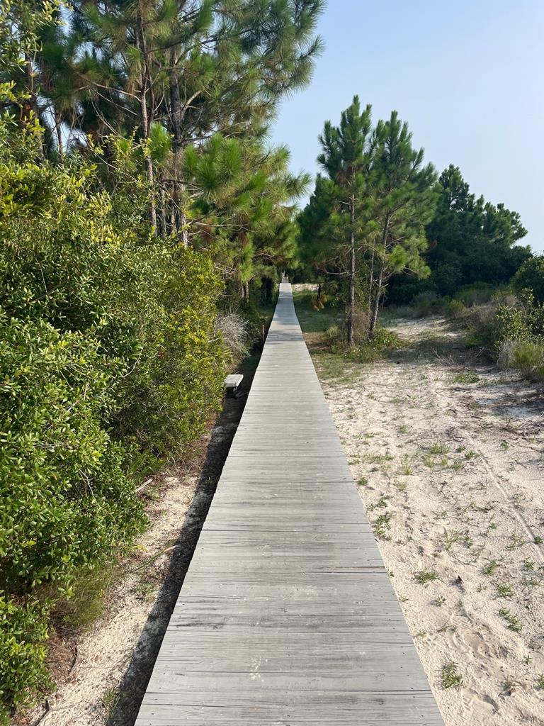 Lot 9 McCosh Mill Road Port St. Joe, FL 32456 - Photo 8 of 17