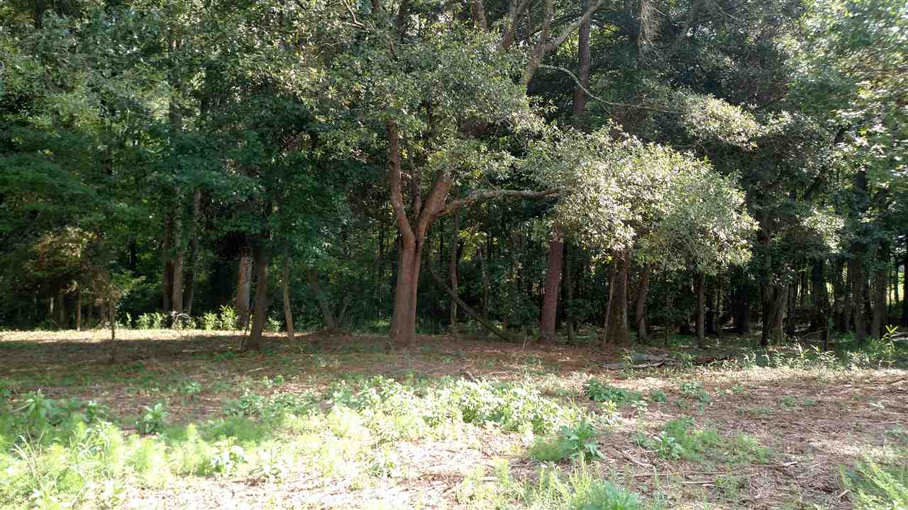 0 Midway Road, Unit 8 7 ACRES Belton, SC 29627 - Photo 4 of 16
