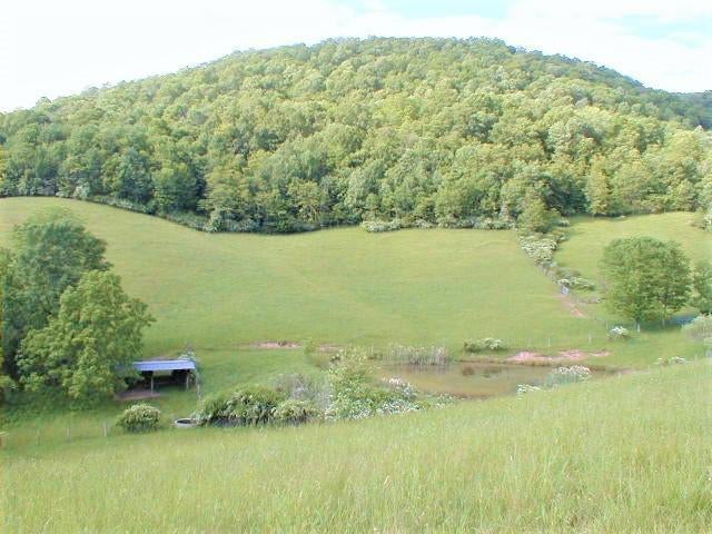 248 Somerset Farm Road Meadow Bridge, WV 25976 - Photo 58 of 98 Gallery Image 58