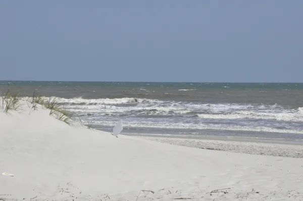 $3,500 | 829 1st Street South, Unit 3E, Jacksonville Beach, FL 32250