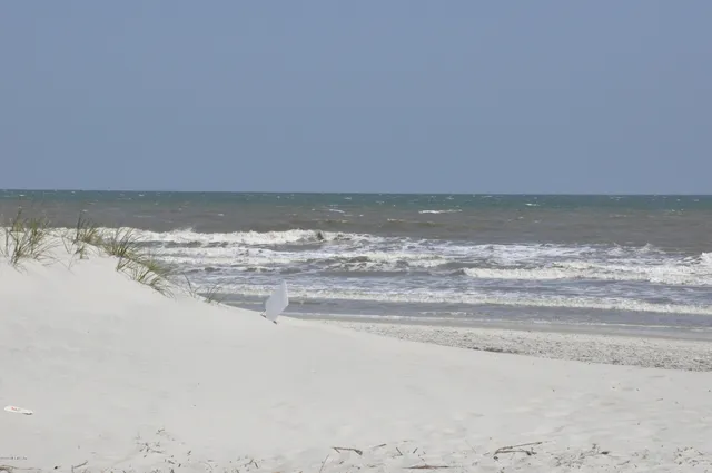 $3,500 | 829 1st Street South, Unit 3E, Jacksonville Beach, FL 32250