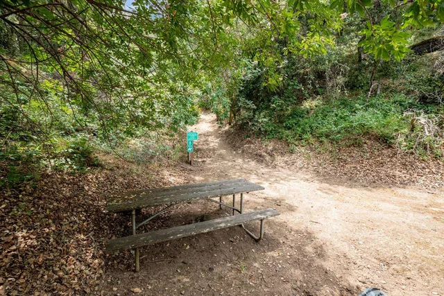 a green field with trees in the background