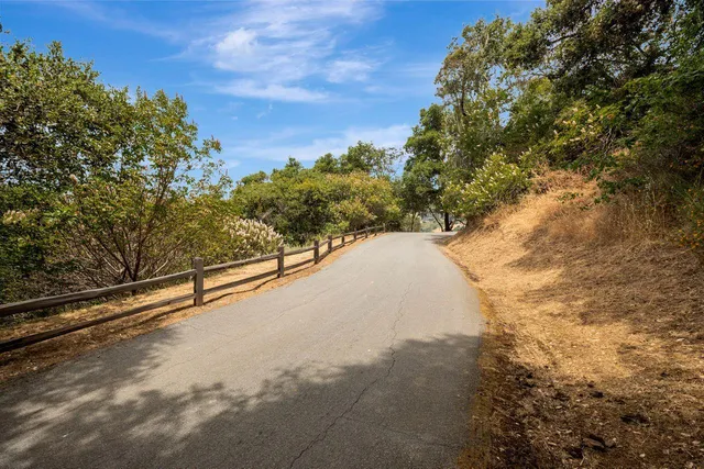a view of a tree in the middle of a yard