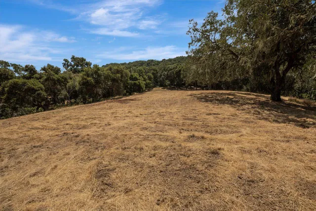 a view of large yard