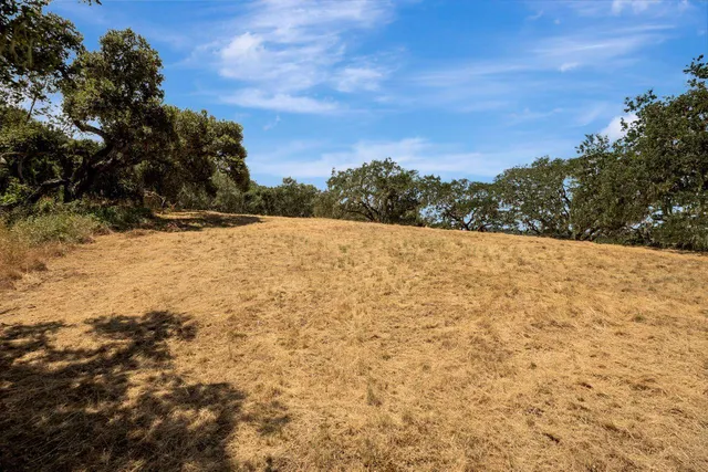 a view of large yard