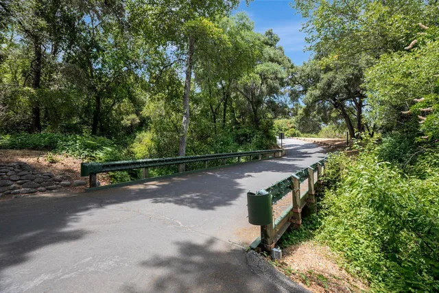 a view of a park with large trees
