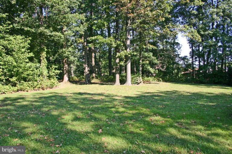 2244 Cape Horn Road Hampstead, MD 21074 - Photo 7 of 13 Back Yard 1