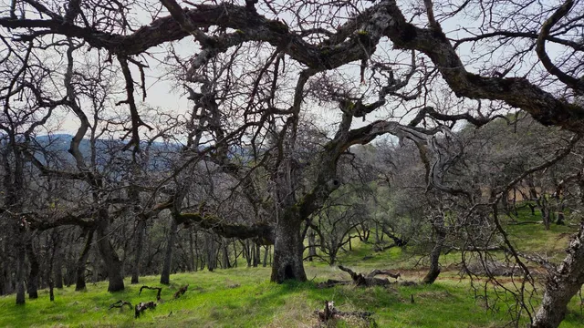 $1,250,000 | 0 Palace Lane, Placerville, CA 95667