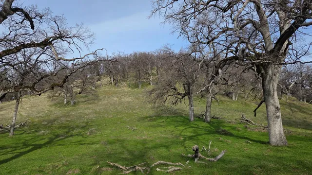 $1,250,000 | 0 Palace Lane, Placerville, CA 95667