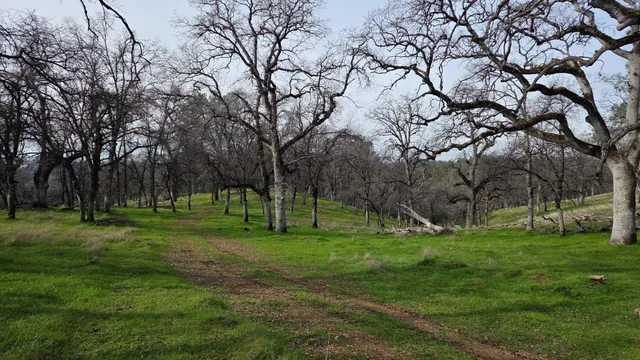 $1,250,000 | 0 Palace Lane, Placerville, CA 95667