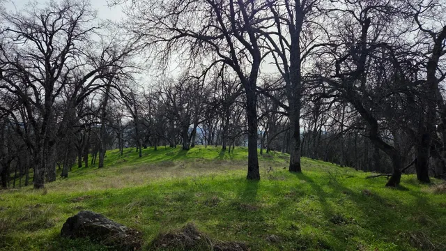 $1,250,000 | 0 Palace Lane, Placerville, CA 95667