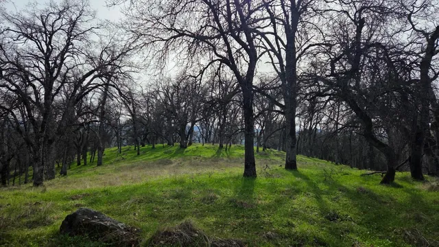 $1,250,000 | 0 Palace Lane, Placerville, CA 95667