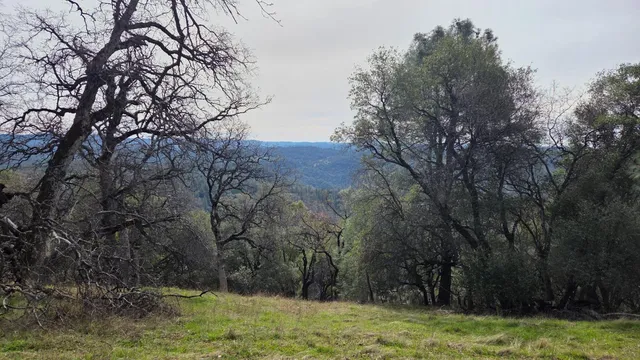 $1,250,000 | 0 Palace Lane, Placerville, CA 95667