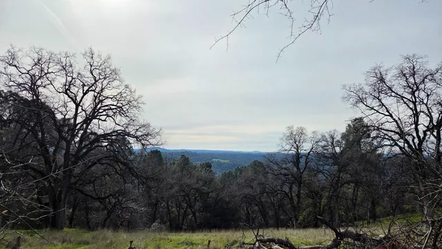 $1,250,000 | 0 Palace Lane, Placerville, CA 95667