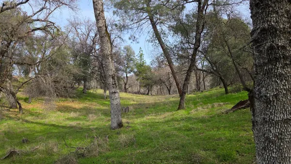 a view of outdoor space with green field and trees
