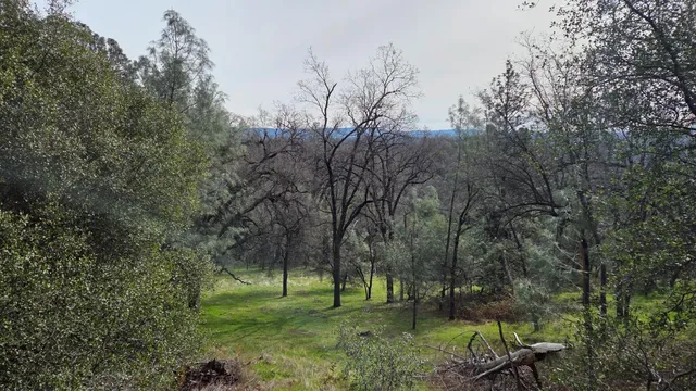 $1,250,000 | 0 Palace Lane, Placerville, CA 95667