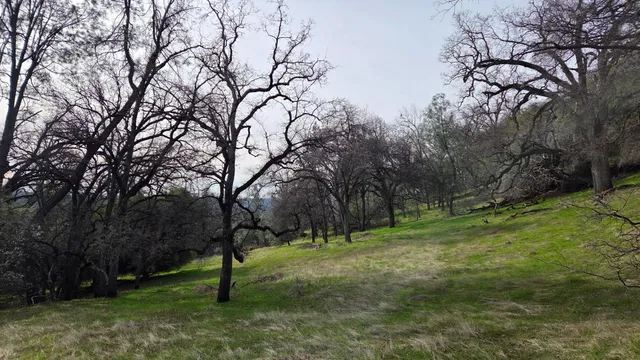 $1,250,000 | 0 Palace Lane, Placerville, CA 95667