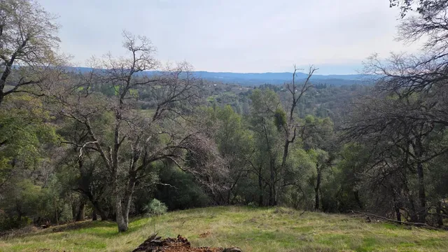 $1,250,000 | 0 Palace Lane, Placerville, CA 95667
